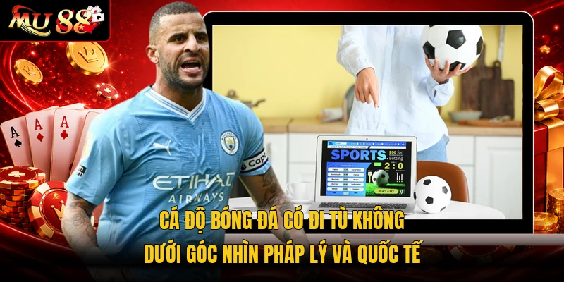 Cá độ bóng đá có đi tù không dưới góc nhìn pháp lý và quốc tế