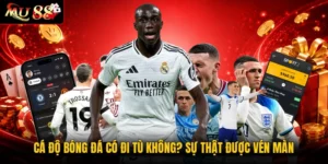 Cá Độ Bóng Đá Có Đi Tù Không? Sự Thật Được Vén Màn