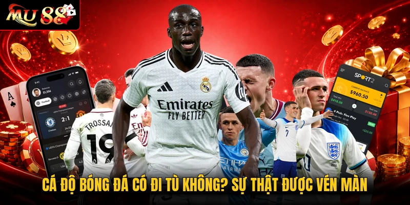 Cá Độ Bóng Đá Có Đi Tù Không? Sự Thật Được Vén Màn