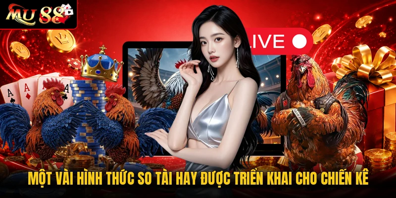 Một vài hình thức so tài hay được triển khai cho chiến kê