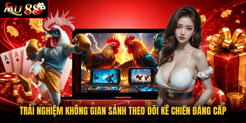 Trải nghiệm không gian sảnh theo dõi kê chiến đẳng cấp
