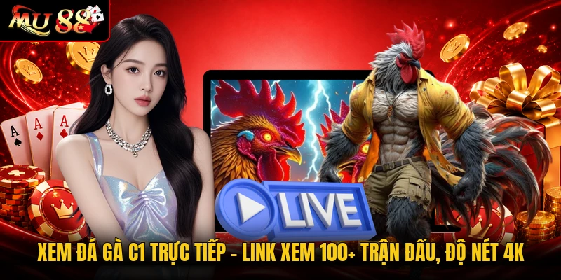 Xem Đá Gà C1 Trực Tiếp - Link Xem 100+ Trận Đấu, Độ Nét 4K